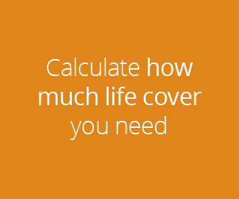 Calculate how much life cover you need to provide for your family with our user-friendly calculator.
